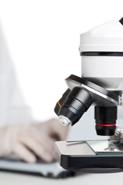 Laboratuvar çalışması