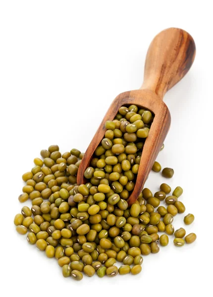 Raw mung beans in scoop — Stock Photo, Image