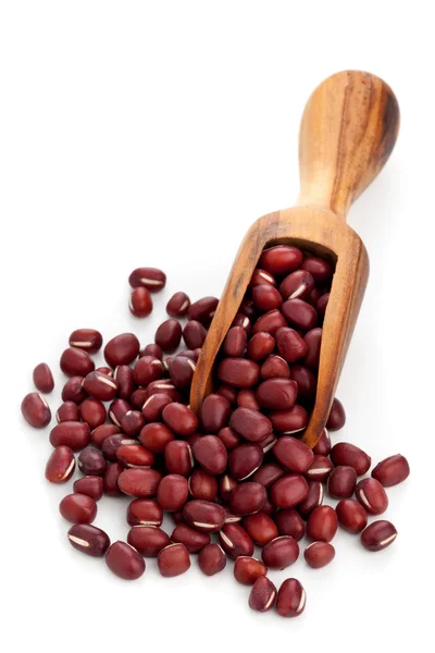 Syrové fazole azuki — Stock fotografie