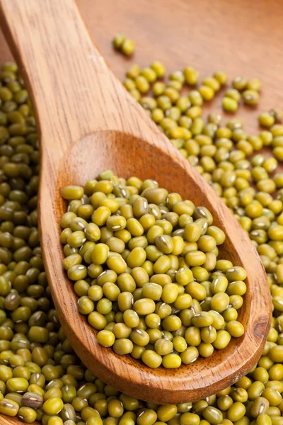 Syrové fazole Mungo na lžíci — Stock fotografie