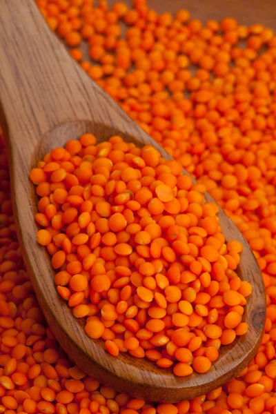 Red lentils on spoon — Stock Photo, Image