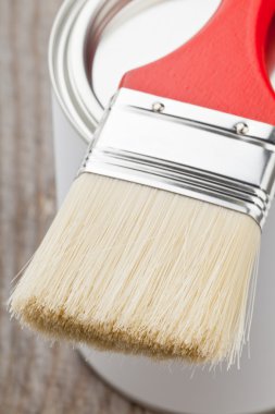 Boya Fırçası ve can