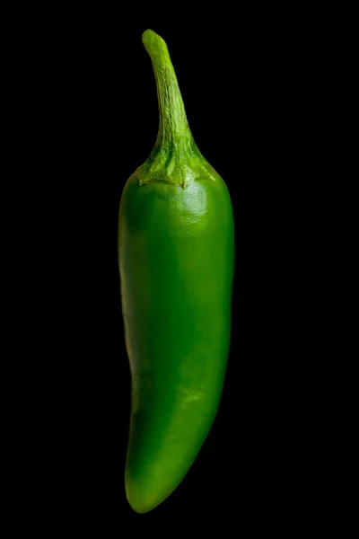 Jalapeno chili — Stockfoto