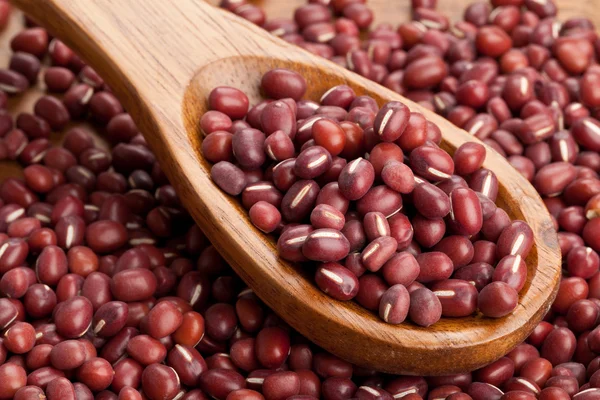 Syrové fazole azuki — Stock fotografie