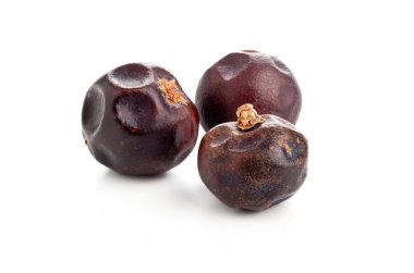 Üç kurutulmuş ardıç meyveleri