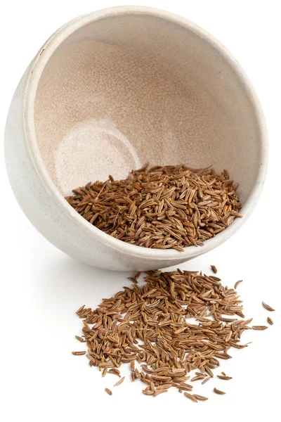 Caraway seeds in bowl — Stock Photo, Image
