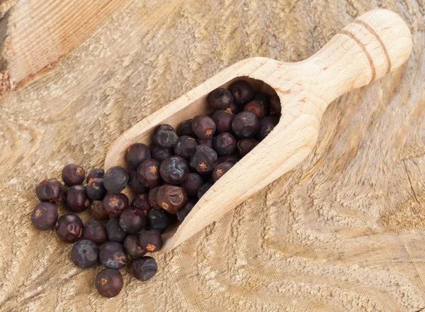 Bayas de enebro en cuchara de madera — Foto de Stock