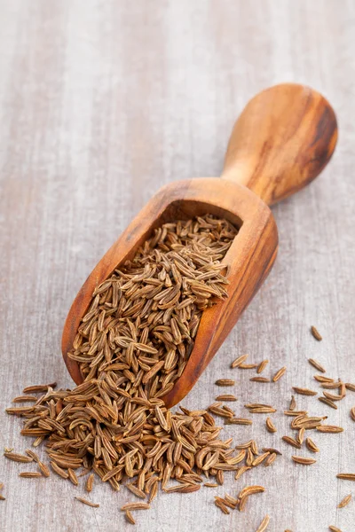 Caraway seeds in scoop — Stock Photo, Image