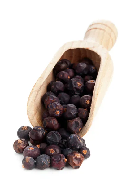 Juniper berries in wooden scoop on white — Stock Photo, Image