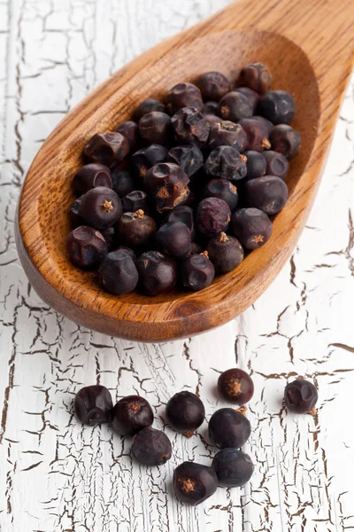 Dried juniper berries on spoon — Stock Photo, Image