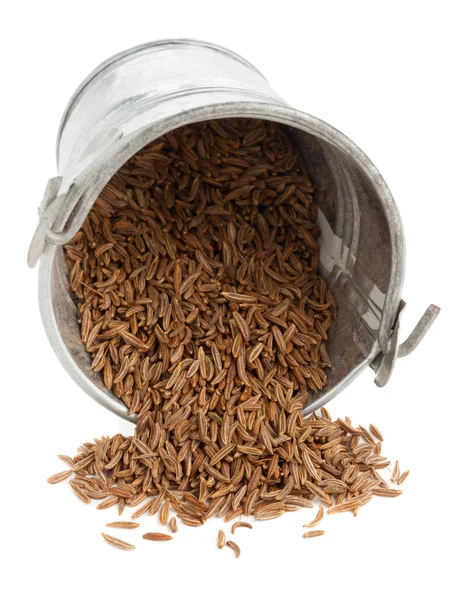 Sementes de alcaravia em balde pequeno — Fotografia de Stock