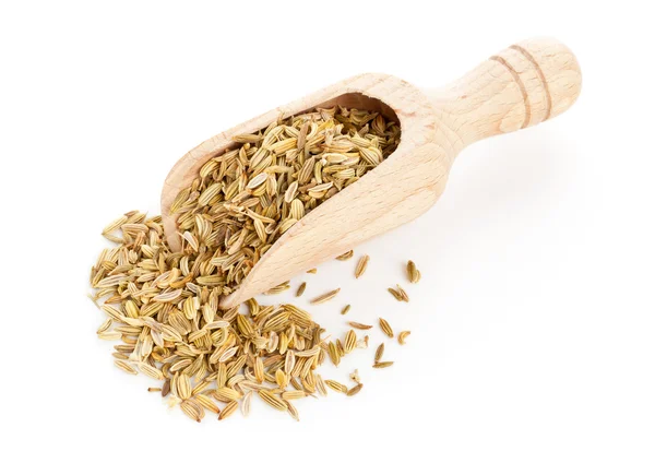 Fennel seeds on wooden scoop — Stock Photo, Image