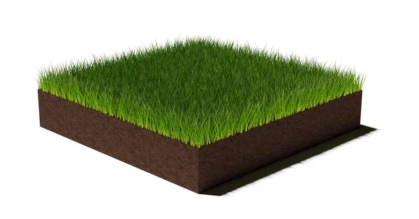 白い背景 春またはエココンセプトテンプレート要素 3Dイラストに隔離された茶色の土壌の層に短いカット緑の芝生の長方形の正方形のパッチや島 — ストック写真