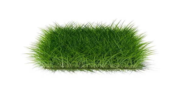 白い背景 春またはエココンセプトテンプレート要素 3Dイラストに隔離された長い緑の草の長方形のパッチまたは島 — ストック写真