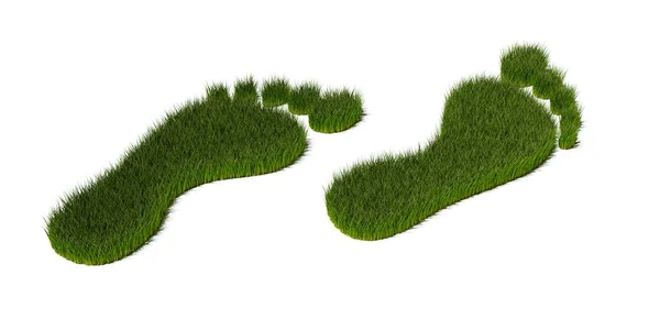 白色背景上的草 环境或碳足迹概念等两个脚印形状符号 3D说明 — 图库照片