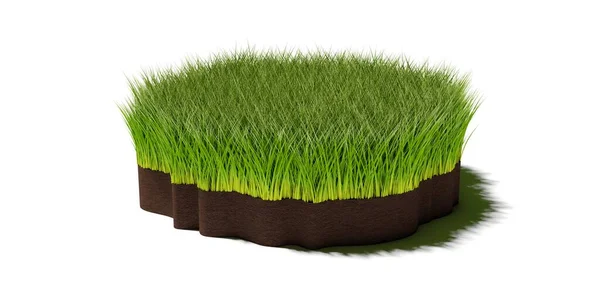 白い背景 春またはエココンセプトテンプレート要素 3Dイラストに隔離された茶色の土壌の層に長い緑の草の円形のパッチや島の不規則なランダムな形 — ストック写真