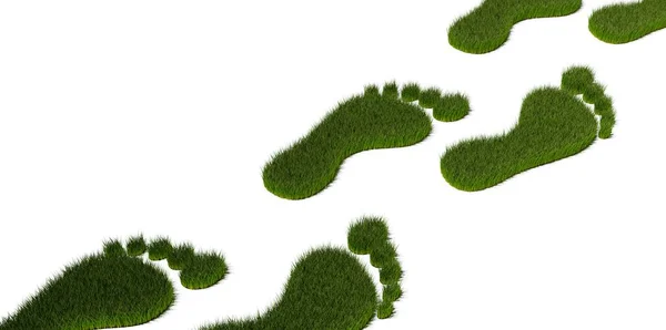 Row Green Grass Footprint Shape Symbols Ecology Environment Carbon Footprint — Stock Photo, Image