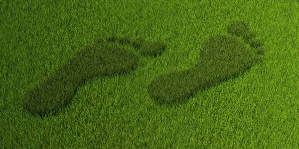 绿草背景上的草 环境或碳足迹概念产生的两个脚印形状符号 3D说明 — 图库照片