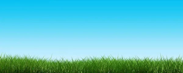 Зеленая Граница Травы Широкий Баннер Голубом Фоне Неба Экология Элемент — стоковое фото
