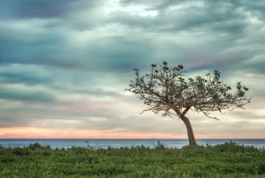 yalnızlık renkleri