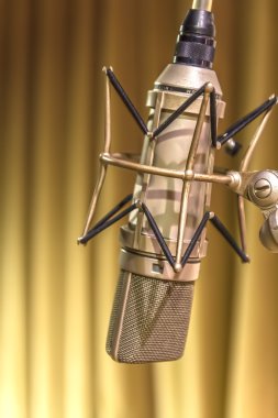 Vintage mic