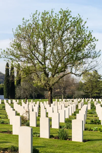 Krigskyrkogården — Stockfoto