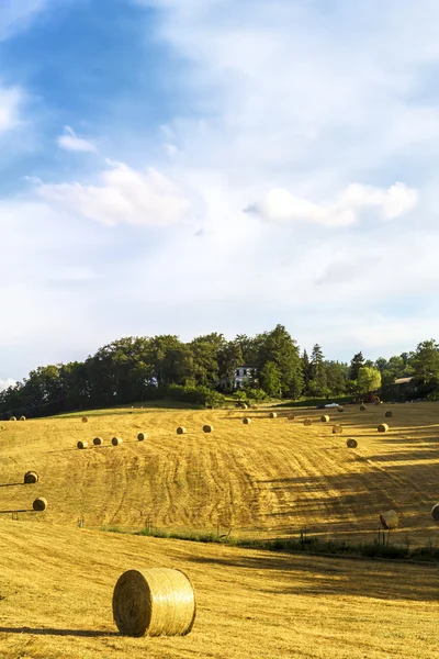 Bales of hay in Tuscany (Italy) — Stock Photo, Image