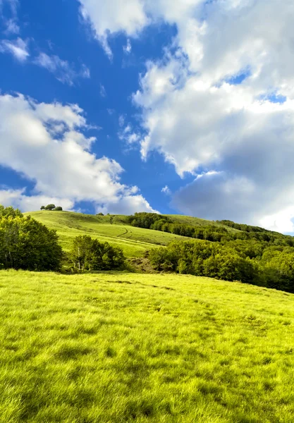 De top van Mount Pratomagno (Italië) — Stockfoto