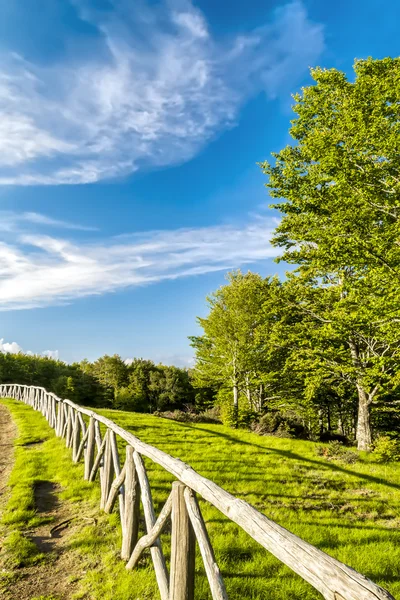 Fence in the park — Stock Photo, Image