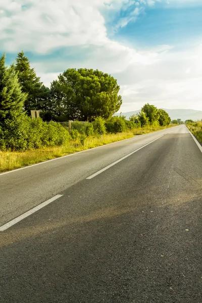 Road in the countryside — Stock Photo, Image