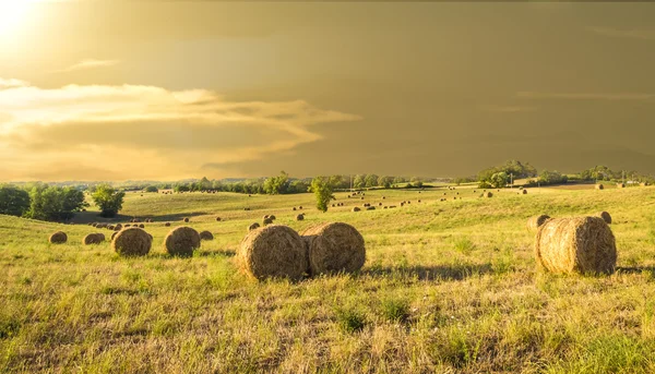 Bála széna, a gazdaságban, a naplemente Toszkána (Olaszország) — Stock Fotó