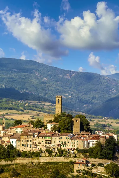 Ciudad medieval en Toscana (Italia) ) —  Fotos de Stock