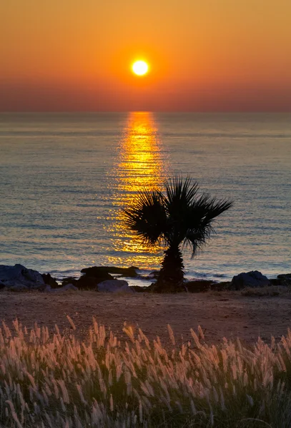 Puesta de sol en la costa siciliana — Foto de Stock