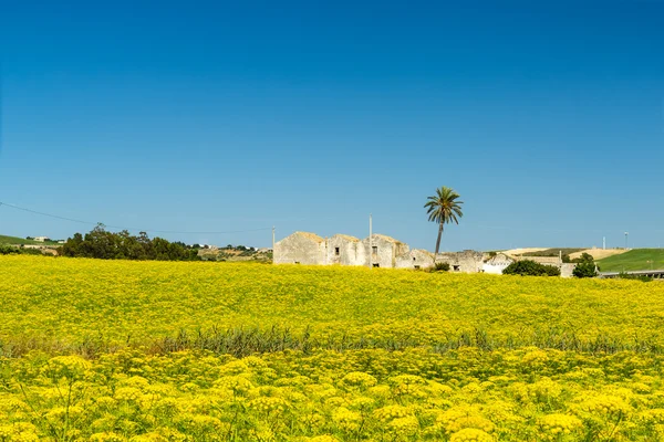 Land van Sicilië — Stockfoto