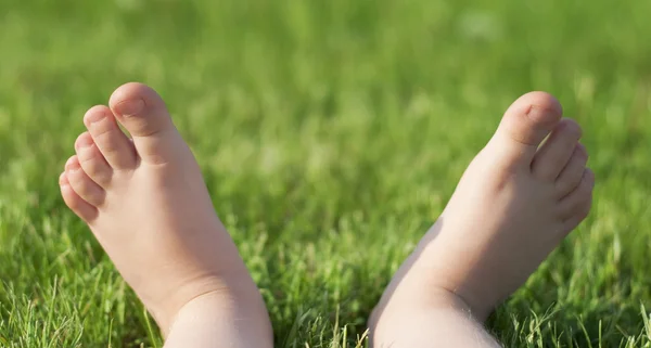 I piedi scalzi del bambino sull'erba verde Fotografia Stock