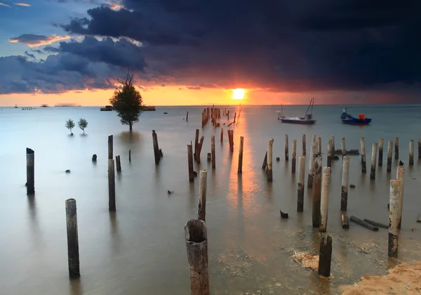 Poles on the shoreline with sunset — Stock Photo, Image