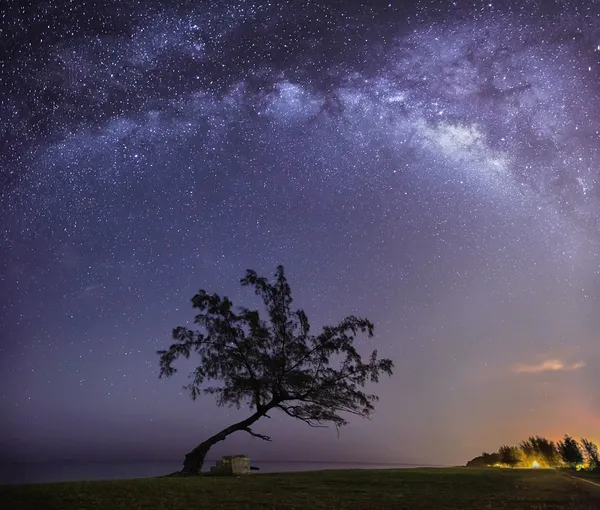 bir ağaç ve bir milkyway
