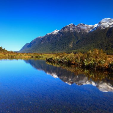 Mirror Lakes, South Island, New Zealand clipart