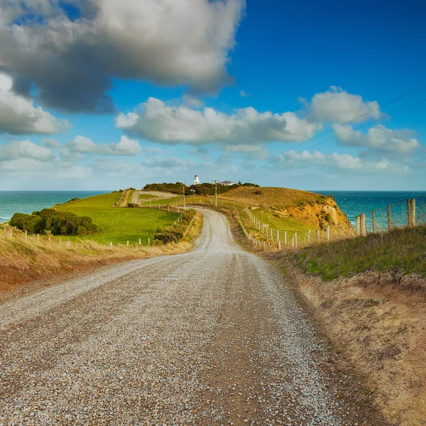 katiki noktası deniz feneri, moeraki peninsula, Yeni Zelanda