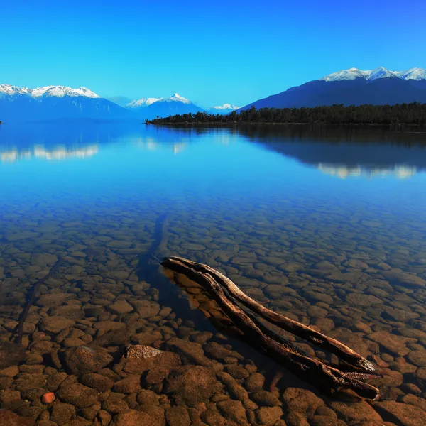 Oude steiger bij lake te anau, Nieuw-Zeeland Stockafbeelding