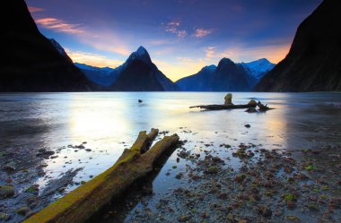 Milford Sound, New Zealand clipart