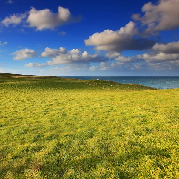 Mavi gökyüzünün altında yeşil tepeler — Stok fotoğraf