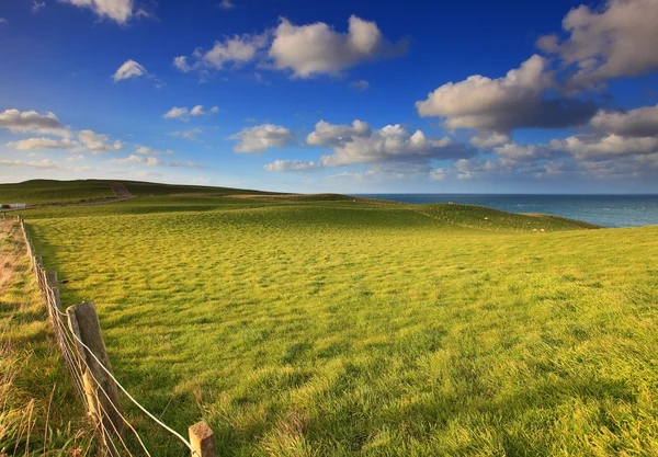 Glooiende groene heuvels onder de blauwe hemel Rechtenvrije Stockfoto's