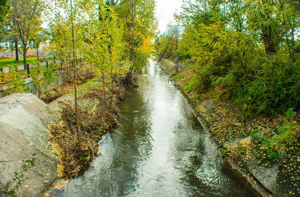 Une Rivière Traversant Milieu Une Forêt Couleur Automne — Photo