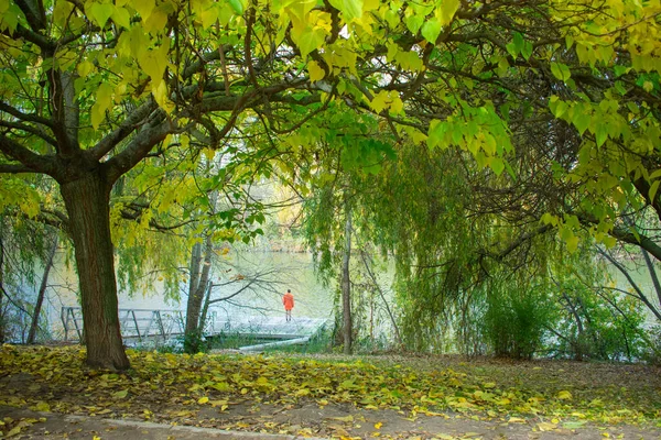 Una Mujer Elegante Abrigo Naranja Mirando Orilla Del Río — Foto de Stock