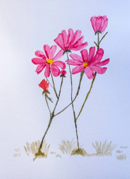 Artwork Watercolor Pink Flowers — 스톡 사진