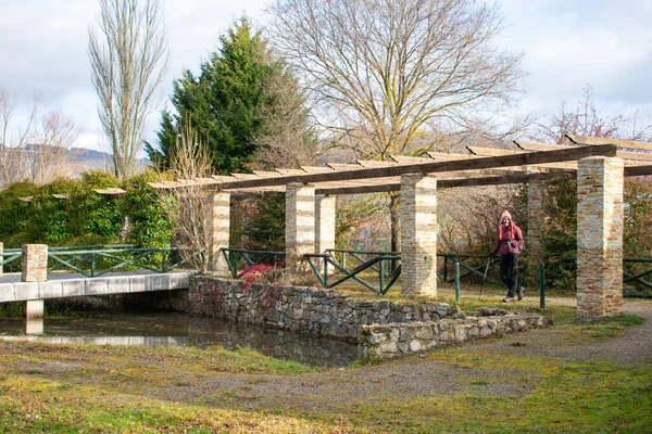 Een Vrouwelijke Wandelaar Een Park Met Een Vijver Winter — Stockfoto