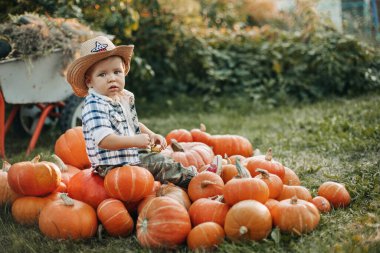 Kovboy şapkalı çekici bir bebek Cadılar Bayramı arifesinde büyük bir balkabağı yığınının üzerinde oturuyor. Hasat, tatil için hazırlık..