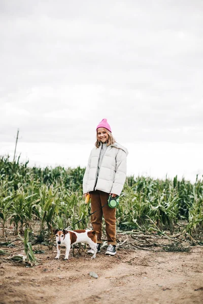 Cheerful teenage girl playing in the field with her dog Jack Russell Terrier on the background of a corn field in autumn — Stock Photo, Image