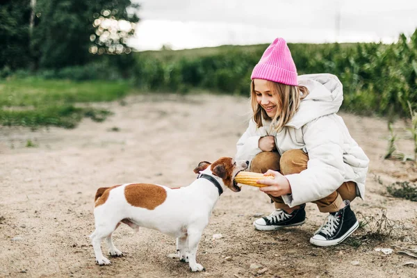 Happy teenage girl hugging and feeding her dog Jack Russell Terrier in a field against the backdrop of a cornfield in autumn — Stock Photo, Image